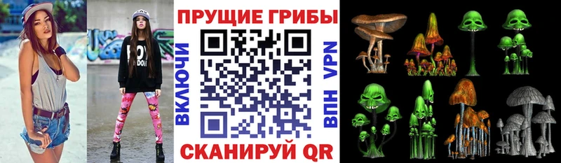 Галлюциногенные грибы GOLDEN TEACHER Могоча